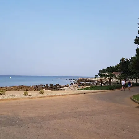 Hana Umag